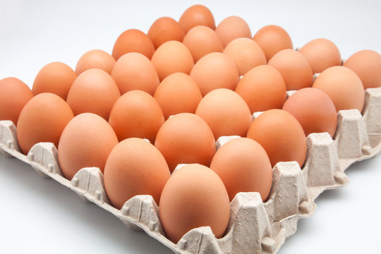 Cold Storage & Protein